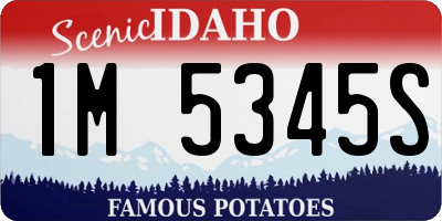 ID license plate 1M5345S