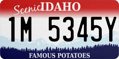 ID license plate 1M5345Y