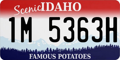 ID license plate 1M5363H