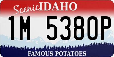 ID license plate 1M5380P