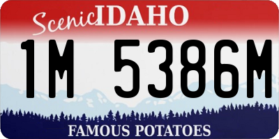ID license plate 1M5386M