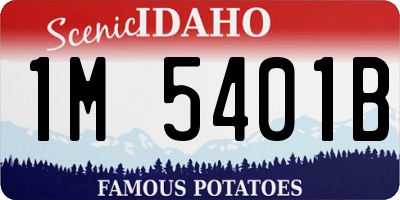ID license plate 1M5401B