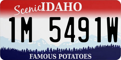 ID license plate 1M5491W