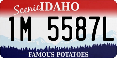ID license plate 1M5587L