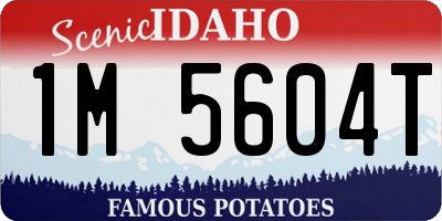 ID license plate 1M5604T