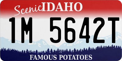 ID license plate 1M5642T