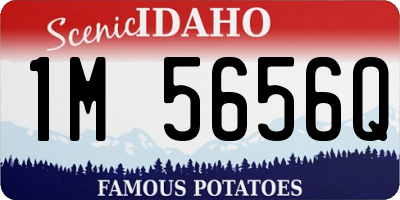 ID license plate 1M5656Q