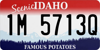 ID license plate 1M5713Q