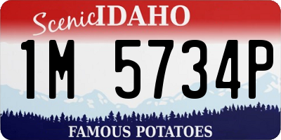 ID license plate 1M5734P