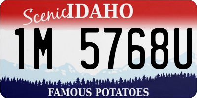 ID license plate 1M5768U