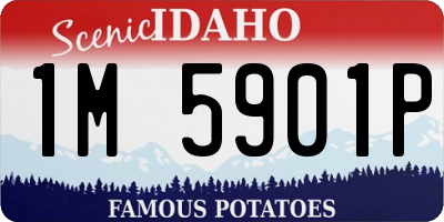 ID license plate 1M5901P