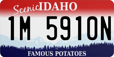 ID license plate 1M5910N