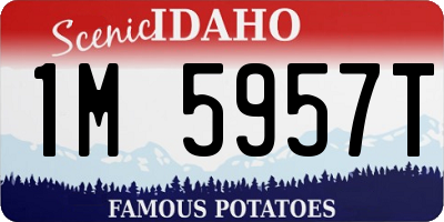 ID license plate 1M5957T