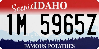 ID license plate 1M5965Z