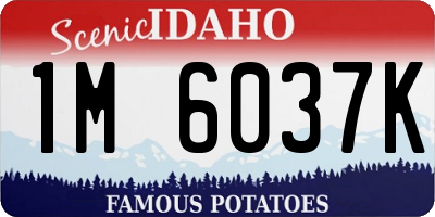 ID license plate 1M6037K
