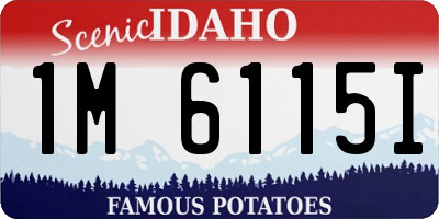 ID license plate 1M6115I