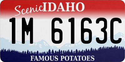 ID license plate 1M6163C