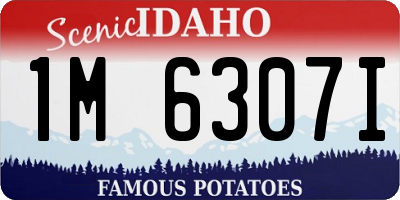 ID license plate 1M6307I