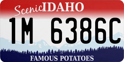 ID license plate 1M6386C
