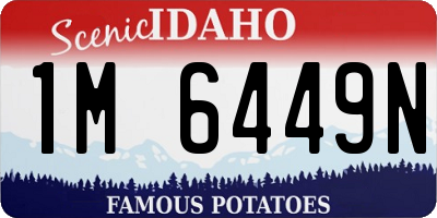 ID license plate 1M6449N