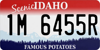 ID license plate 1M6455R