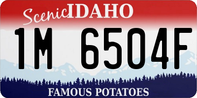 ID license plate 1M6504F