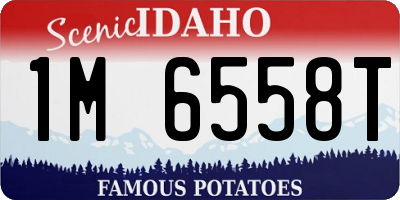ID license plate 1M6558T
