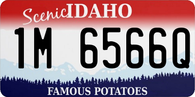 ID license plate 1M6566Q