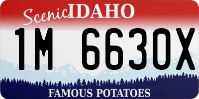 ID license plate 1M6630X