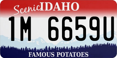 ID license plate 1M6659U