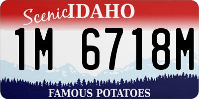 ID license plate 1M6718M