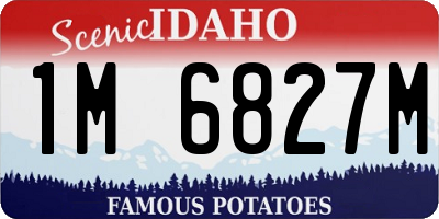 ID license plate 1M6827M