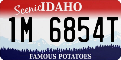 ID license plate 1M6854T