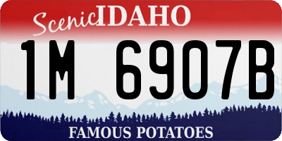 ID license plate 1M6907B