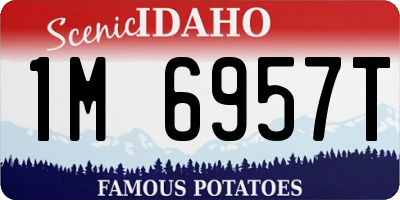 ID license plate 1M6957T