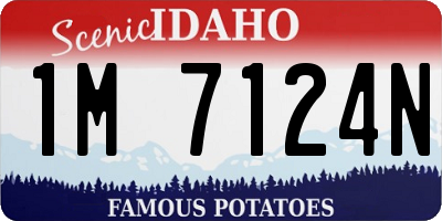 ID license plate 1M7124N