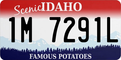 ID license plate 1M7291L