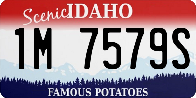 ID license plate 1M7579S
