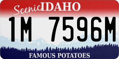 ID license plate 1M7596M
