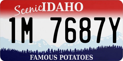 ID license plate 1M7687Y