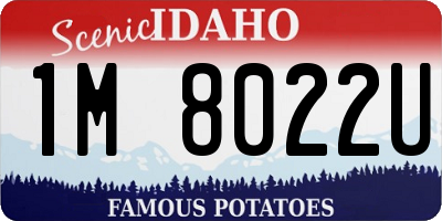 ID license plate 1M8022U
