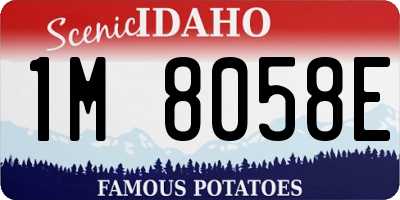 ID license plate 1M8058E