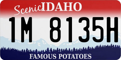 ID license plate 1M8135H
