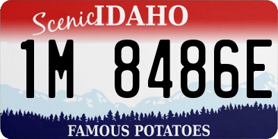ID license plate 1M8486E