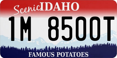 ID license plate 1M8500T