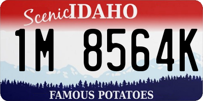 ID license plate 1M8564K