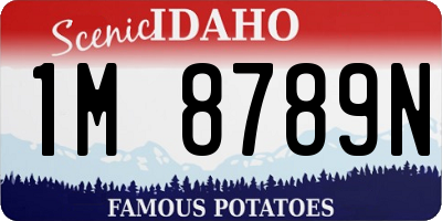 ID license plate 1M8789N