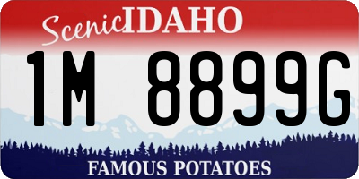 ID license plate 1M8899G