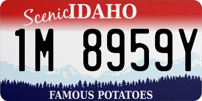 ID license plate 1M8959Y