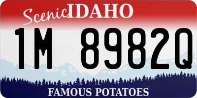 ID license plate 1M8982Q